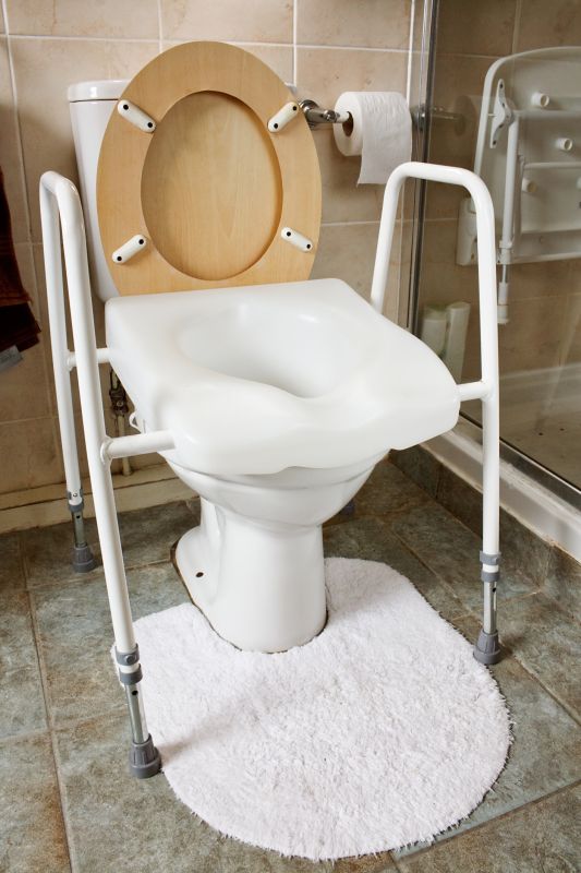 Accessible Toilet Setup